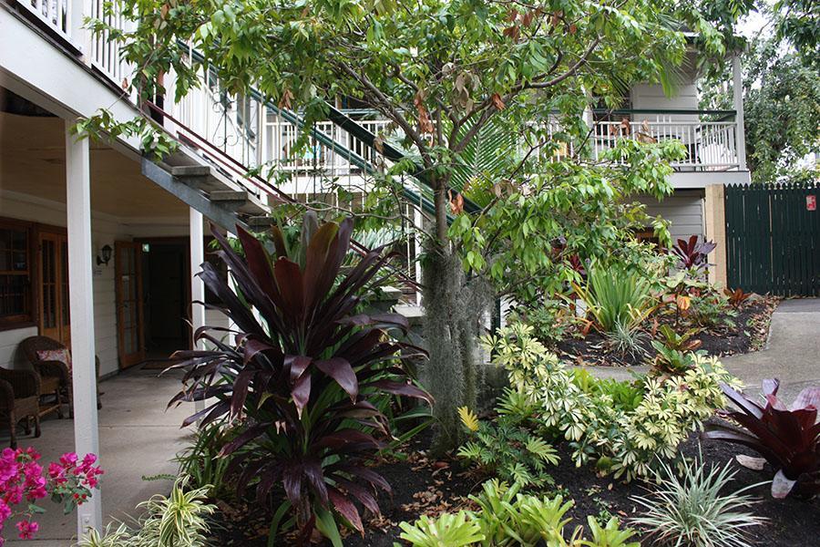 Ellie's Guest House Brisbane Extérieur photo